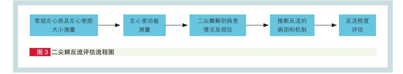 【中国成人心脏瓣膜病超声心动图规范化检查专家共识】临床诊疗流程图