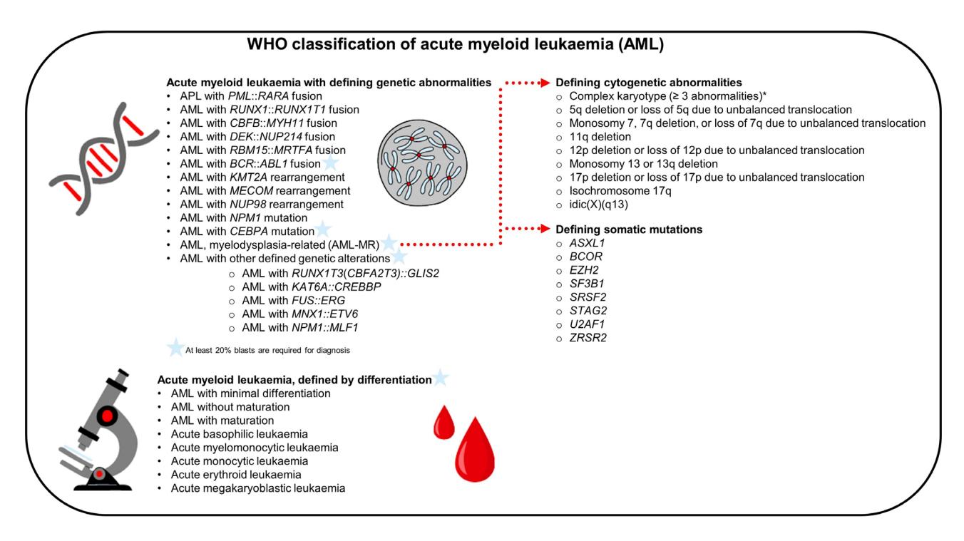 【WHO classification of AML】Diagram