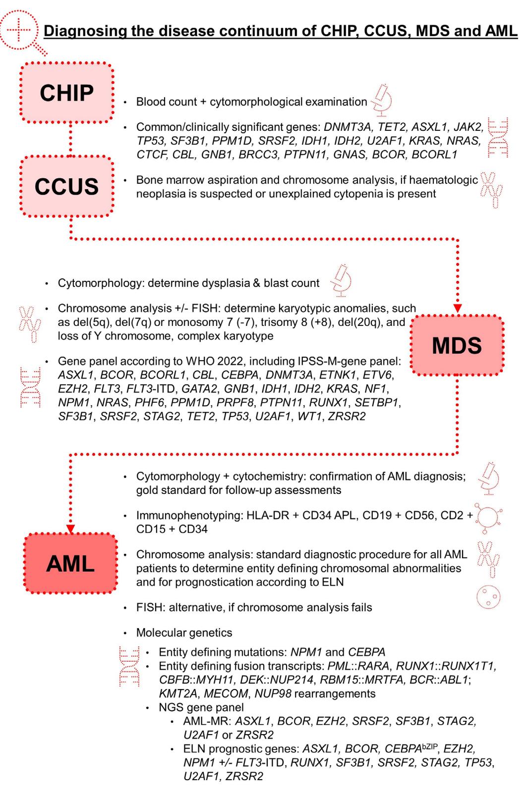 【Genetic studies in clonal haematopoiesis, myelodysplastic neoplasms and acute myeloid leukaemia – a practical guide to WHO-HAEM5】Diagnostic algorithm for myeloid malignancies