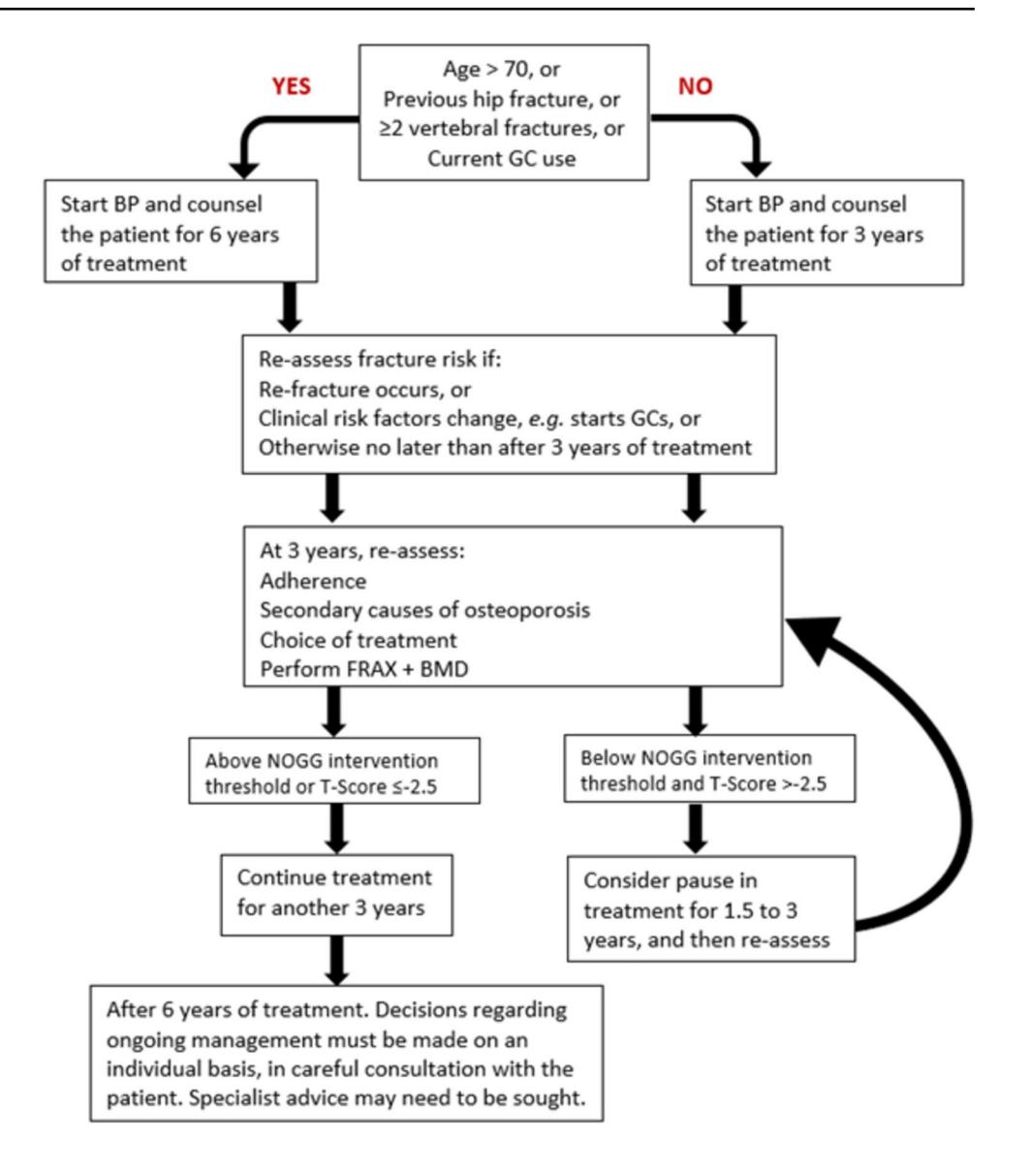 【NOGG 2024】Bisphosphonate Treatment Duration Algorithm