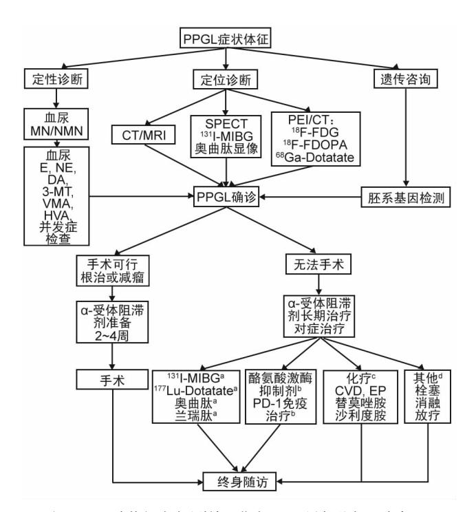 【《嗜铬细胞瘤和副神经节瘤诊断治疗专家共识(2020版)》解读】诊疗路径图