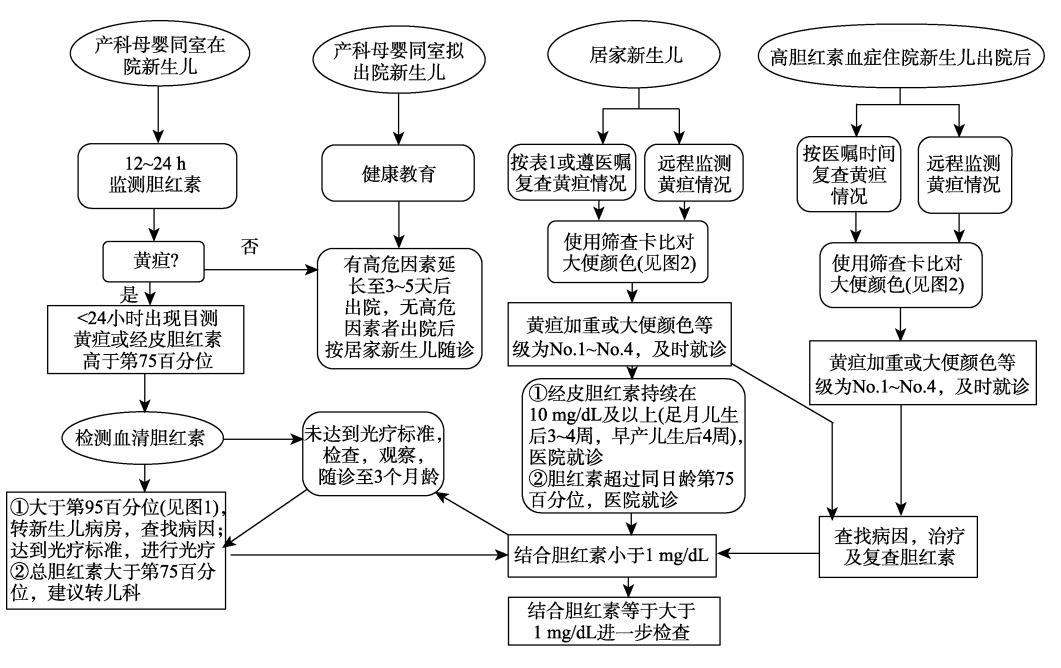 新生儿黄疸管理临床路径图