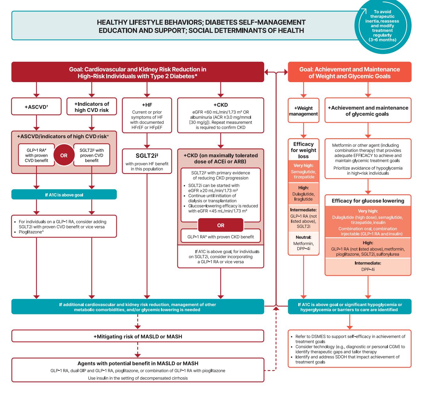 【Pharmacologic Approaches to Glycemic Treatment: Standards of Care in Diabetes—2025】Type 2 Diabetes Management Algorithm