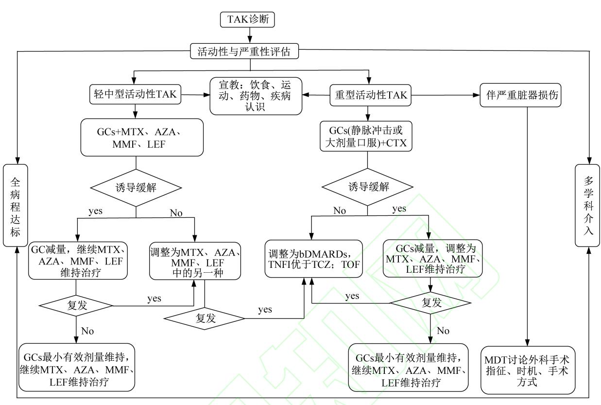 【中国大动脉炎全病程多学科慢病管理专家共识】大动脉炎(TAK)诊疗路径图