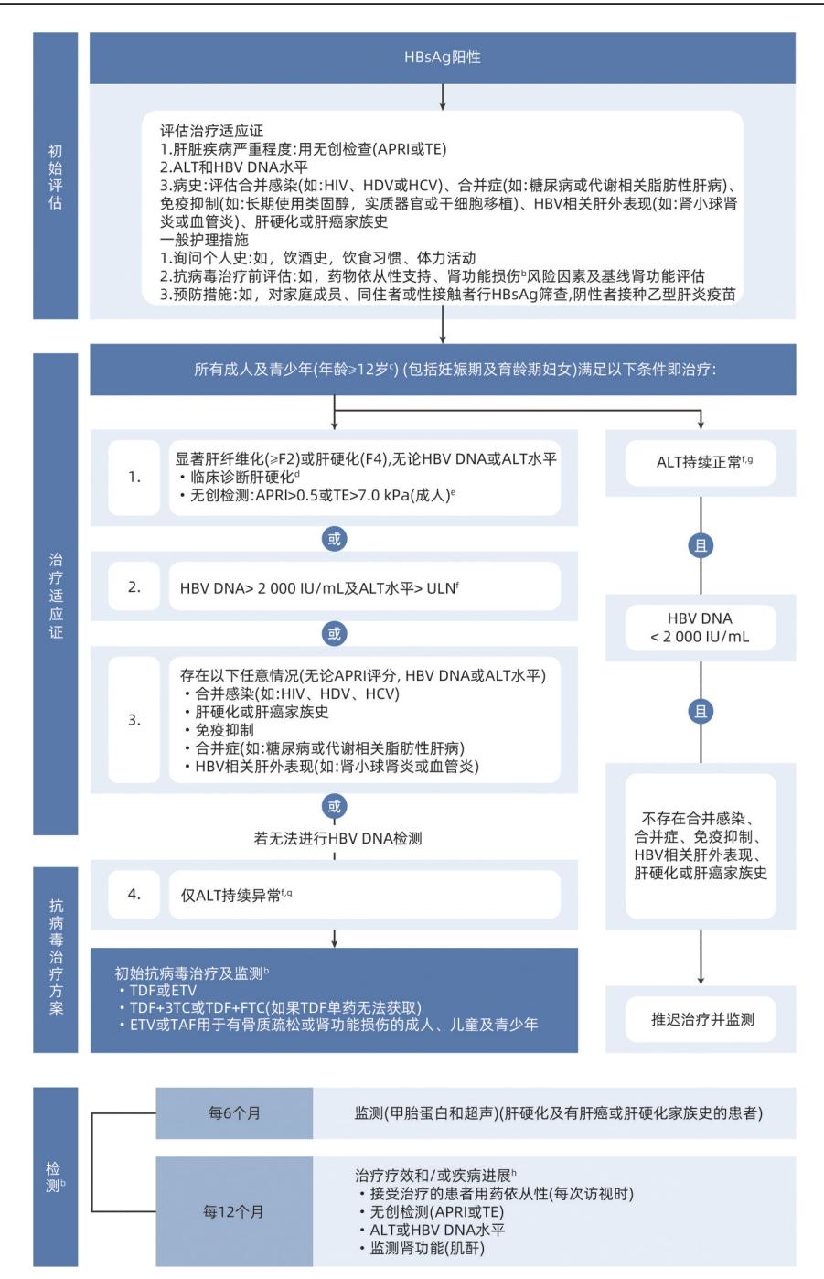 慢性乙型肝炎诊疗流程图