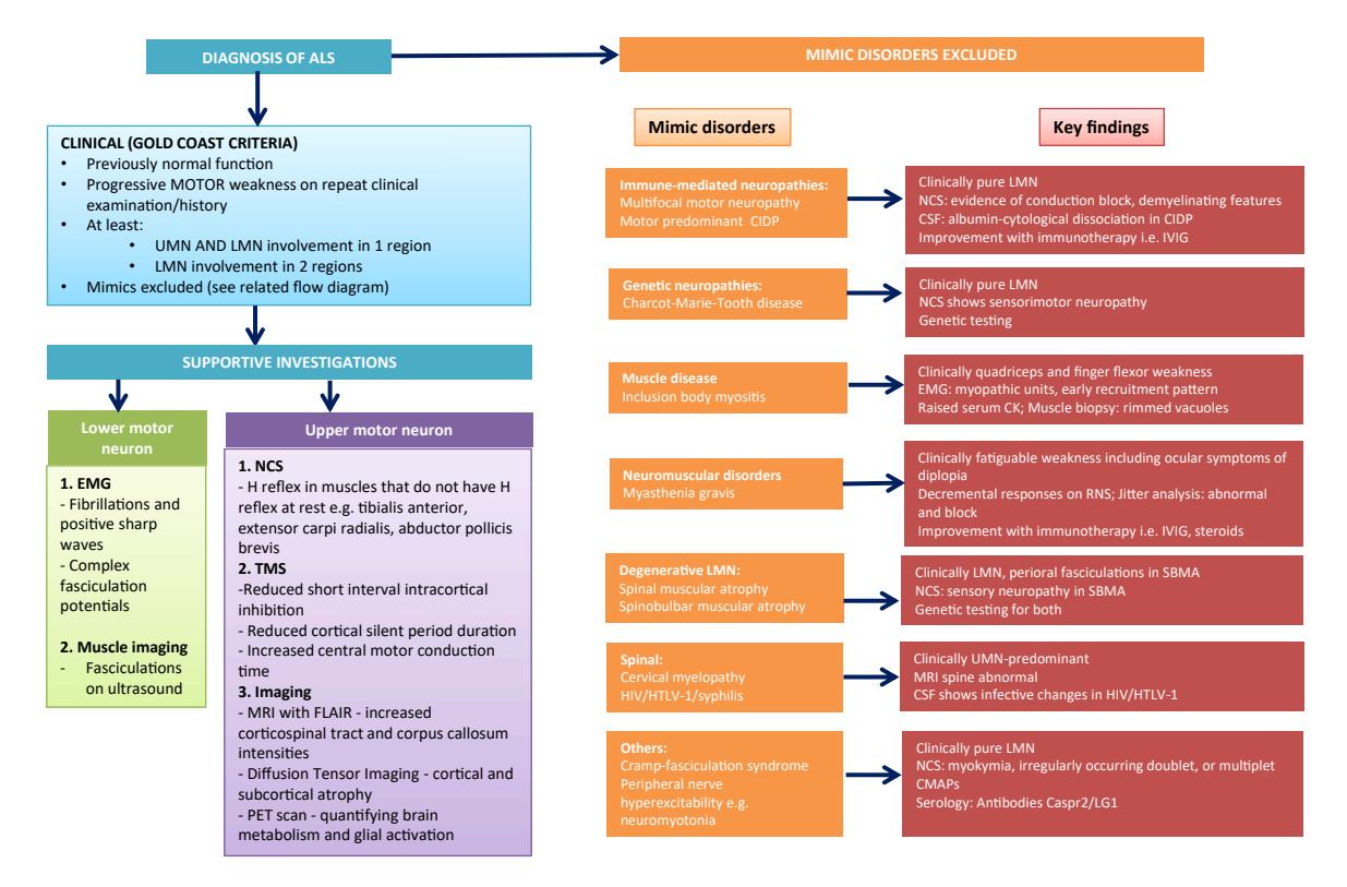 【Pan-Asian consortium for treatment and research in ALS (PACTALS) guidelines for management of amyotrophic lateral sclerosis】Diagnostic algorithm for ALS