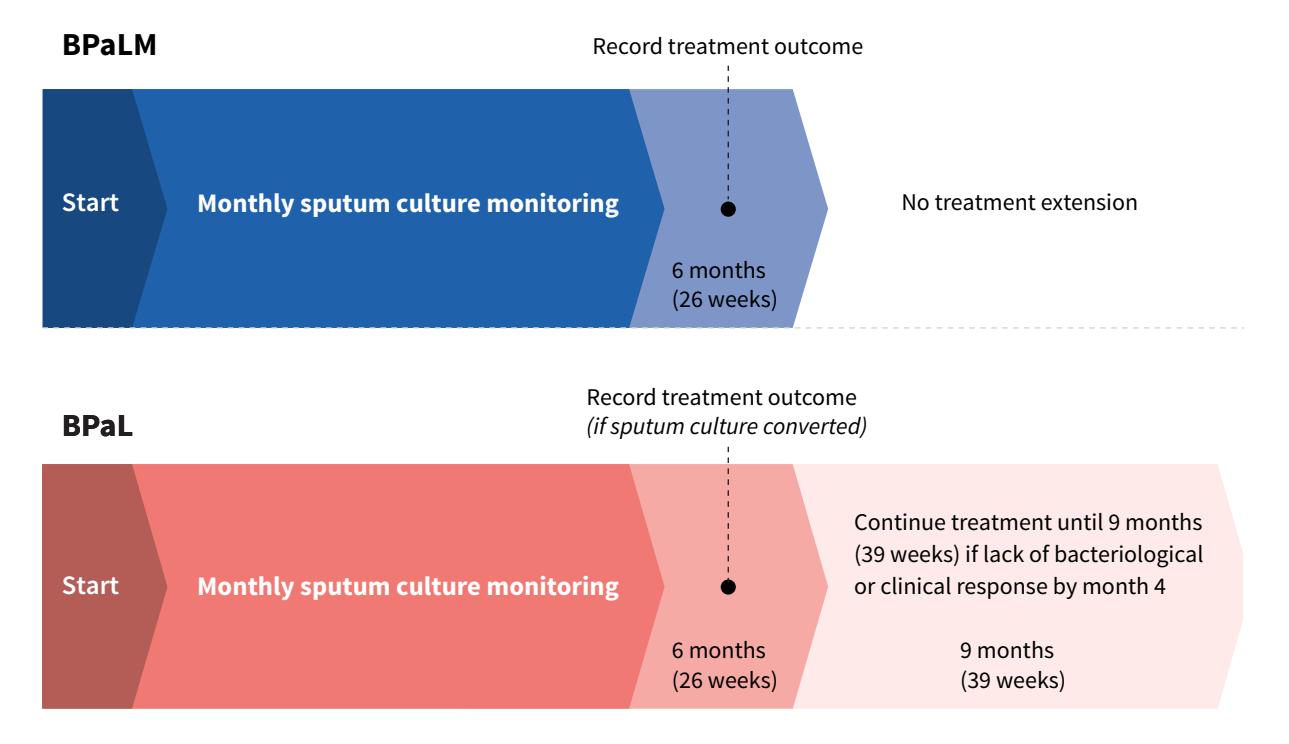 【WHO consolidated operational handbook on tuberculosis: module 4: treatment and care】Treatment Protocol Timeline