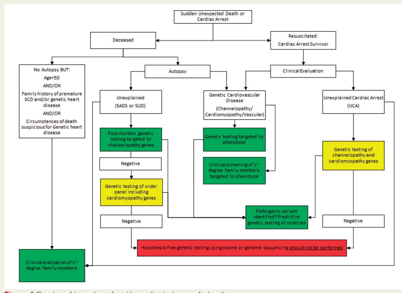 【2022 EHRA/HRS/APHRS/LAHRS专家共识声明:心脏病基因检测现状】SCD/UCA临床管理流程图