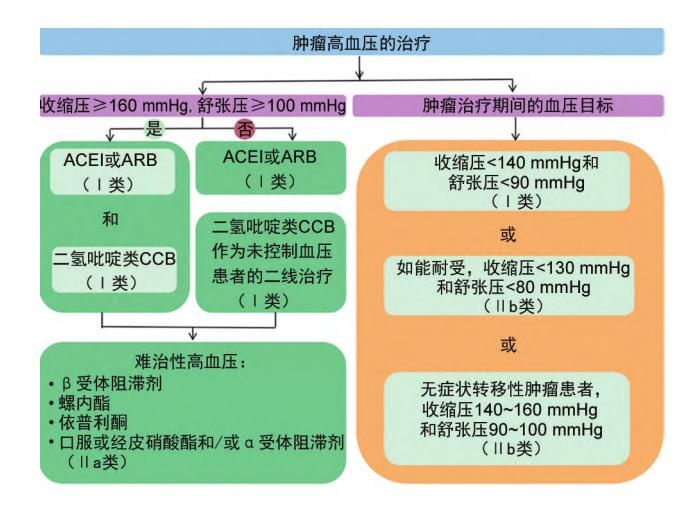 【2024 肿瘤相关高血压整合管理中国专家共识】肿瘤相关高血压患者的降压药选择及降压目标