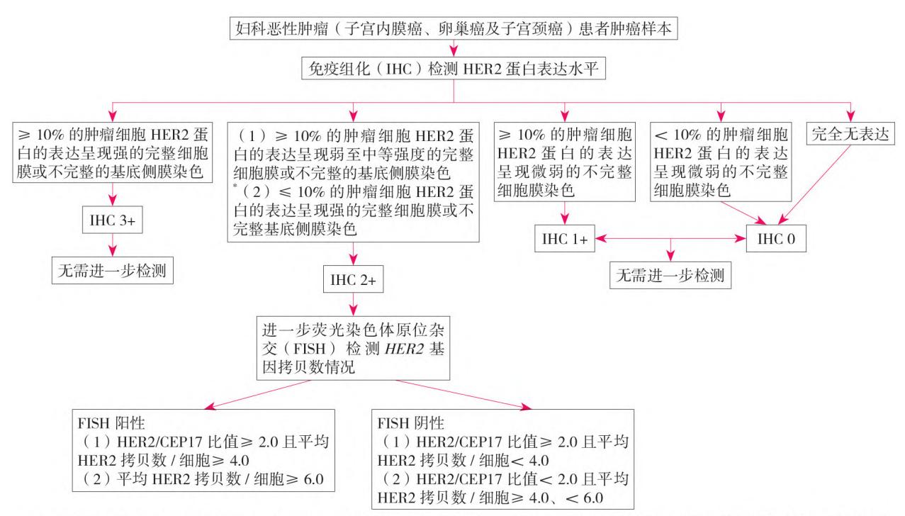 HER2检测临床路径流程图