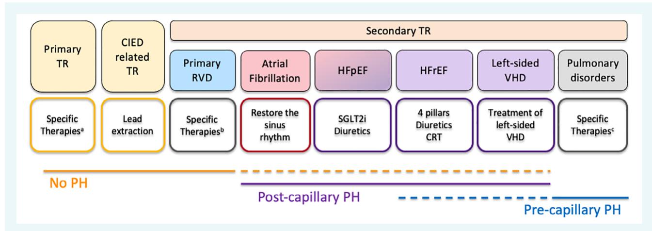 Pathophysiology diagram