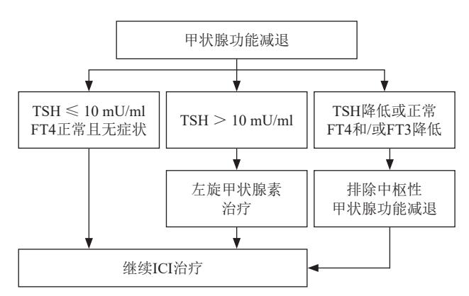 ICIs相关甲减管理路径