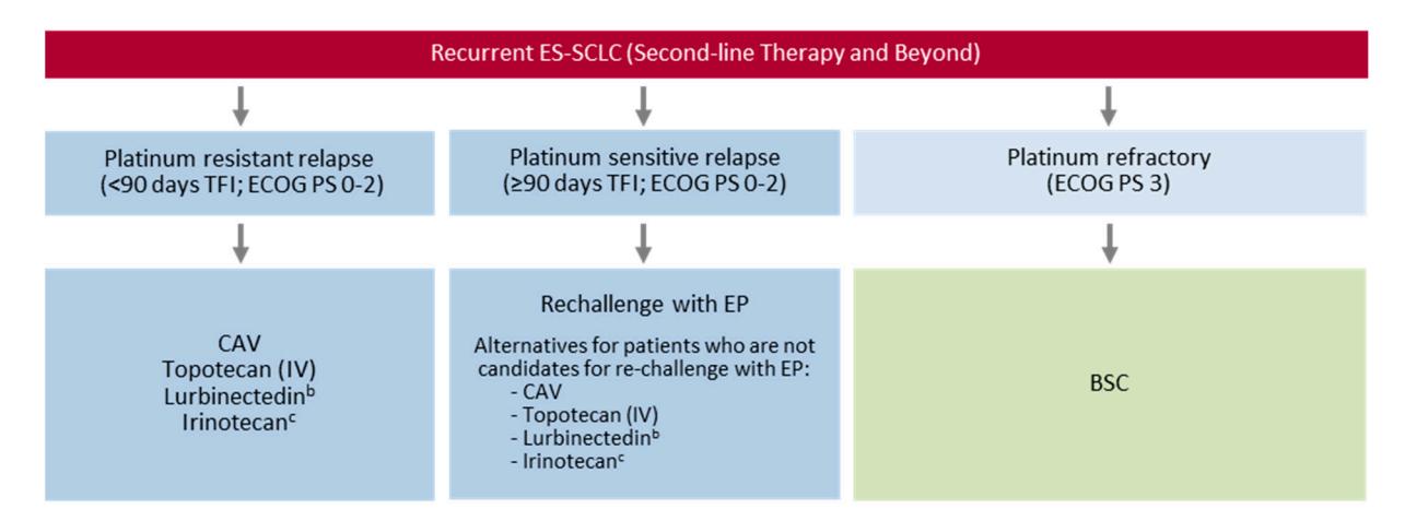 image_category: FLOWCHART/Clinical Treatment Algorithm | body_region: chest | specialty: Oncology | summary: A clinical flowchart outlining second-line therapy options for recurrent ES-SCLC based on platinum sensitivity and ECOG performance status.