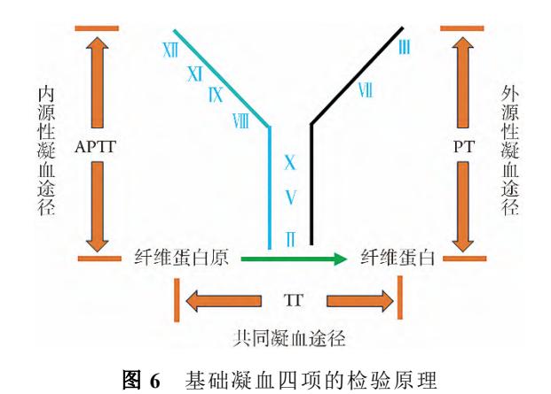 【重症凝血病标准化评估中国专家共识(2025版) 】凝血功能障碍诊断流程图