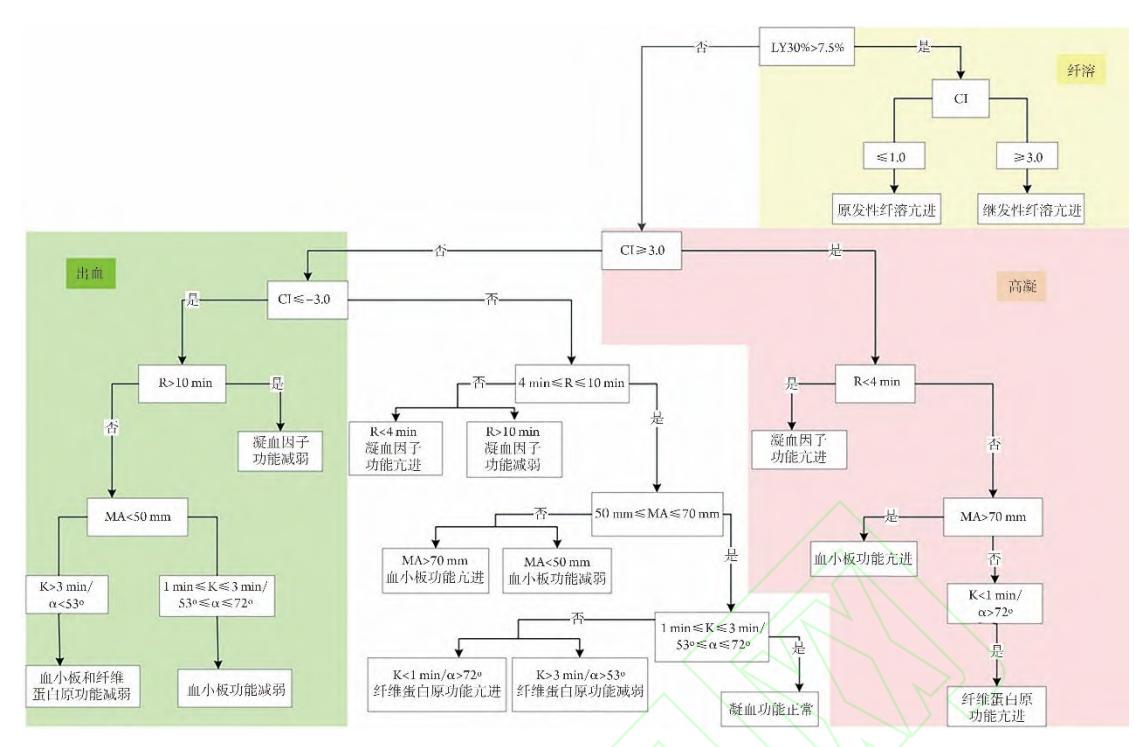【FLOWCHART/血栓弹力图(TEG)临床诊断流程图】