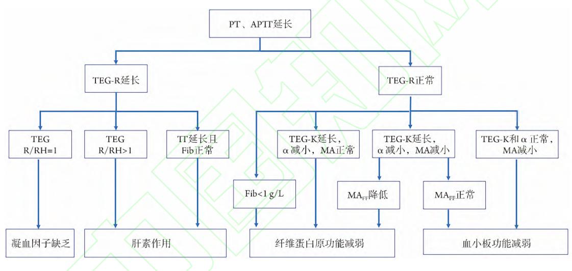 凝血级联反应示意图