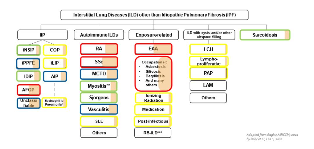 【Pharmacological Treatment of Idiopathic Pulmonary Fibrosis (Update) and Progressive Pulmonary Fibroses S2k Guideline of the German Respiratory Society 】Classification of Interstitial Lung Diseases