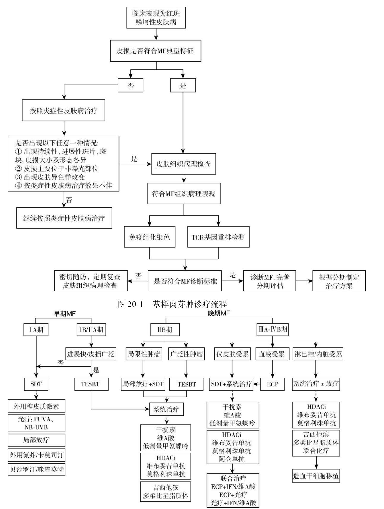【蕈样肉芽肿诊疗流程图】