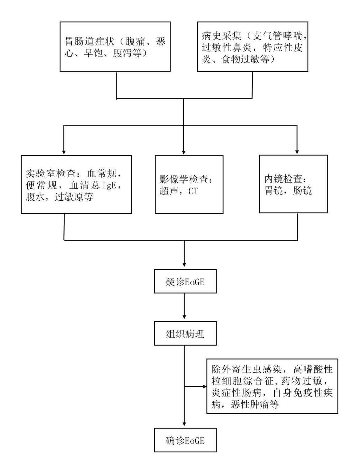 【嗜酸性胃肠炎(EoGE)临床诊断路径图】
