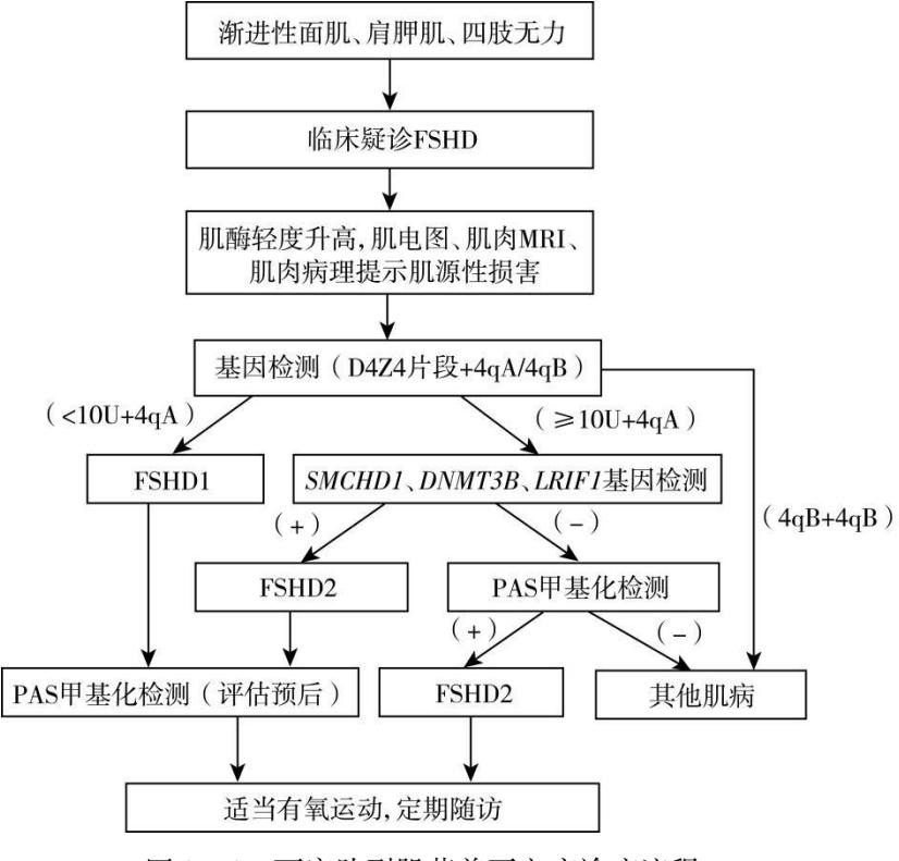 【86个罕见病病种诊疗指南(2025年版)】临床诊疗路径图