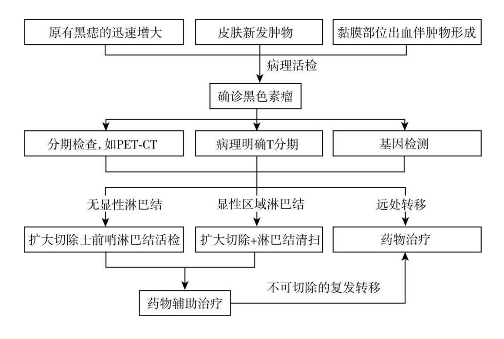 image_category: FLOWCHART/黑色素瘤诊疗流程图 | body_region:...