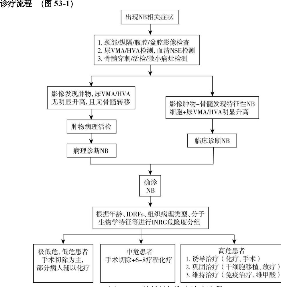 【86个罕见病病种诊疗指南(2025年版)】神经母细胞瘤诊疗路径图