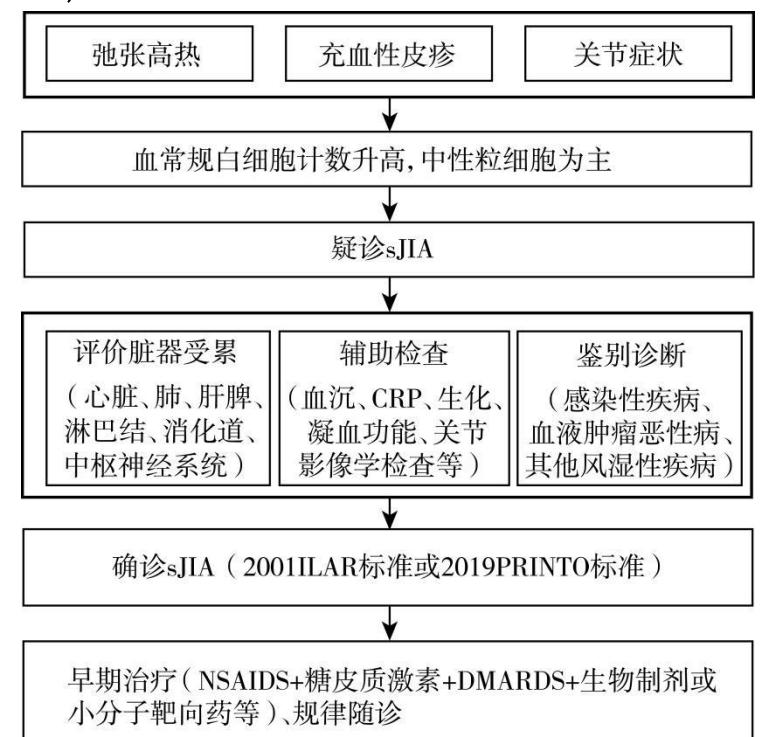 【86个罕见病病种诊疗指南(2025年版)】诊疗流程图