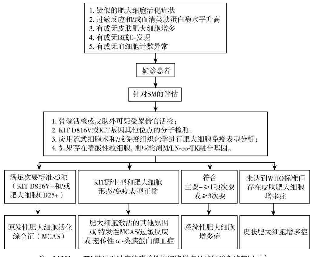 【肥大细胞增多症诊断流程图】