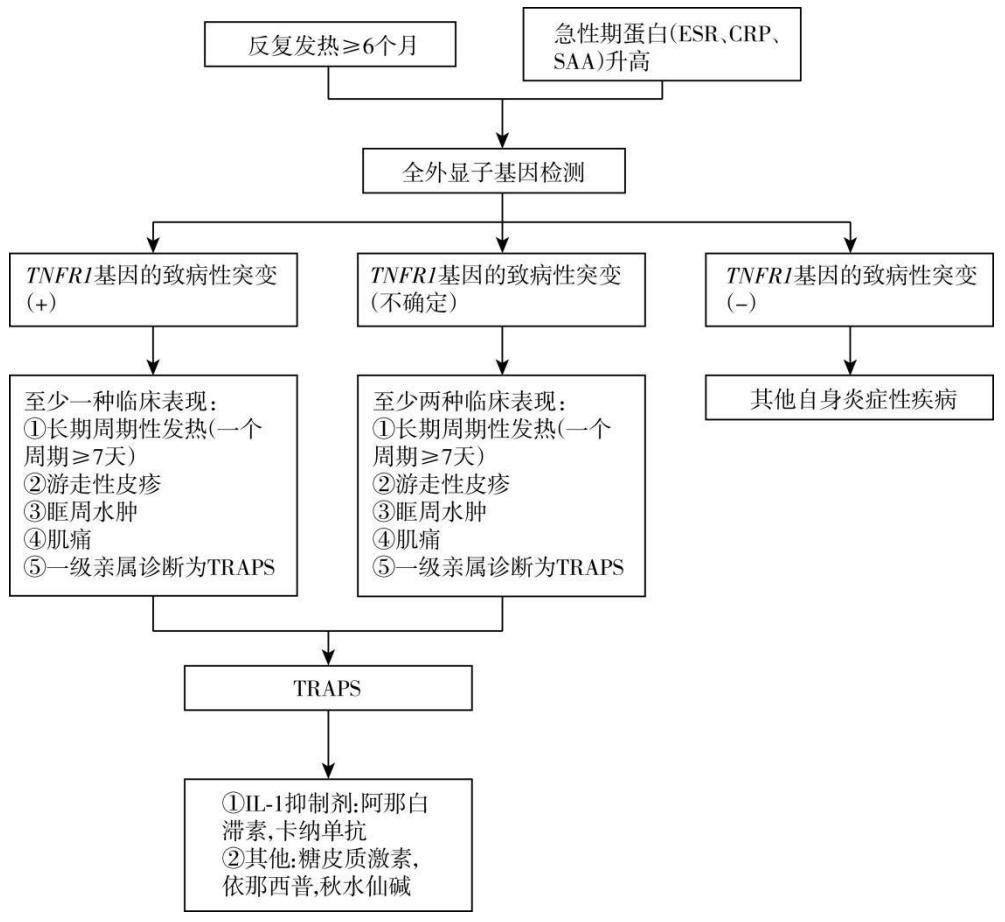 【86个罕见病病种诊疗指南(2025年版)】临床诊疗流程图