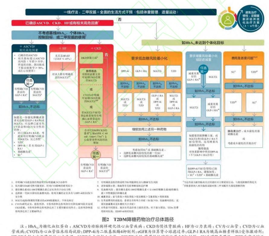 【ADA指南与中国老年糖尿病诊疗指南比较】T2DM降糖药物治疗总体路径