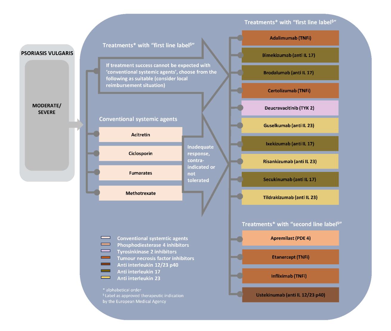 【EuroGuiDerm Guideline for the Systemic Treatment of Psoriasis Vulgaris】Treatment Algorithm for Moderate-to-Severe Psoriasis