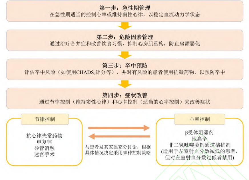 【中国心房颤动管理指南(2025)】房颤临床管理路径