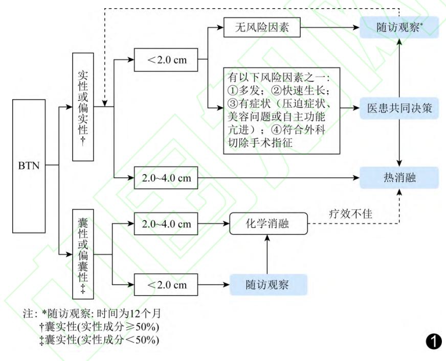 image_category: FLOWCHART/良性甲状腺结节诊疗路径图 | body_regi...