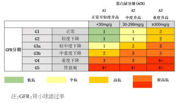 【KDIGO慢性肾脏病风险评估矩阵】CKD风险分层热图