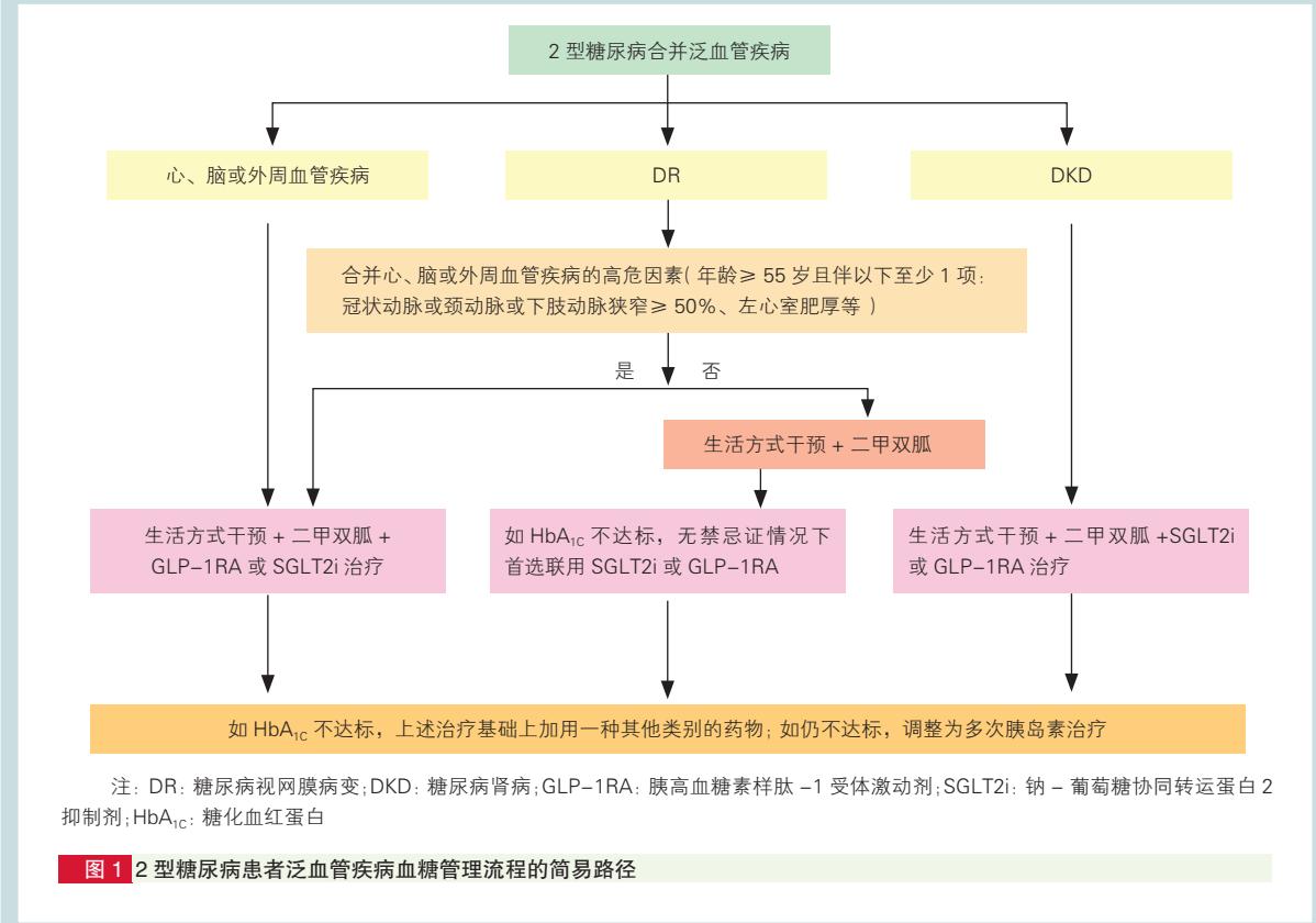 【2型糖尿病合并泛血管疾病血糖管理路径】2型糖尿病血糖管理临床路径图