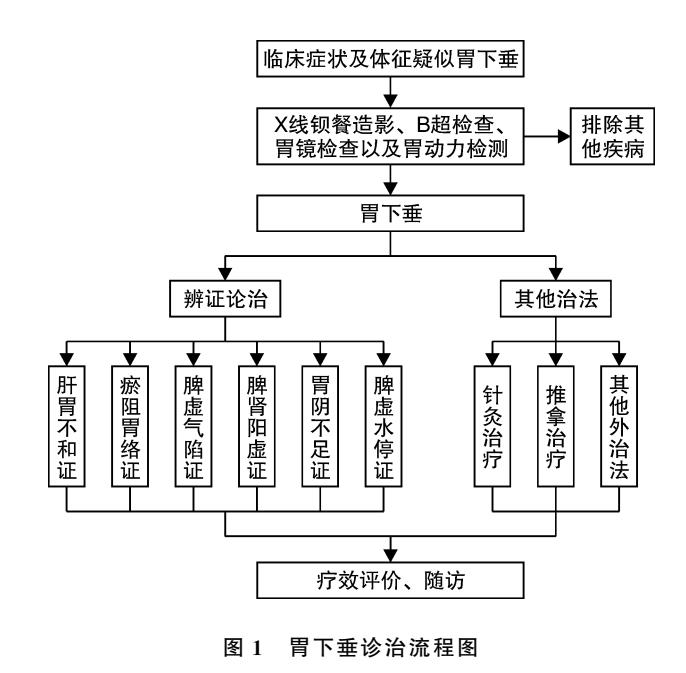 【胃下垂中医诊疗专家共识(2023)】胃下垂诊治流程图