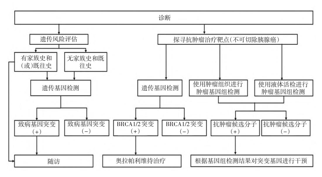 【中国抗癌协会胰腺癌整合诊治指南】Precision Medicine in Pancreatic Cancer