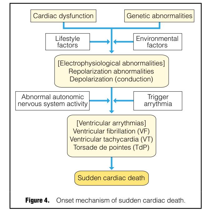 image_category: FLOWCHART/Pathophysiology flowchar...