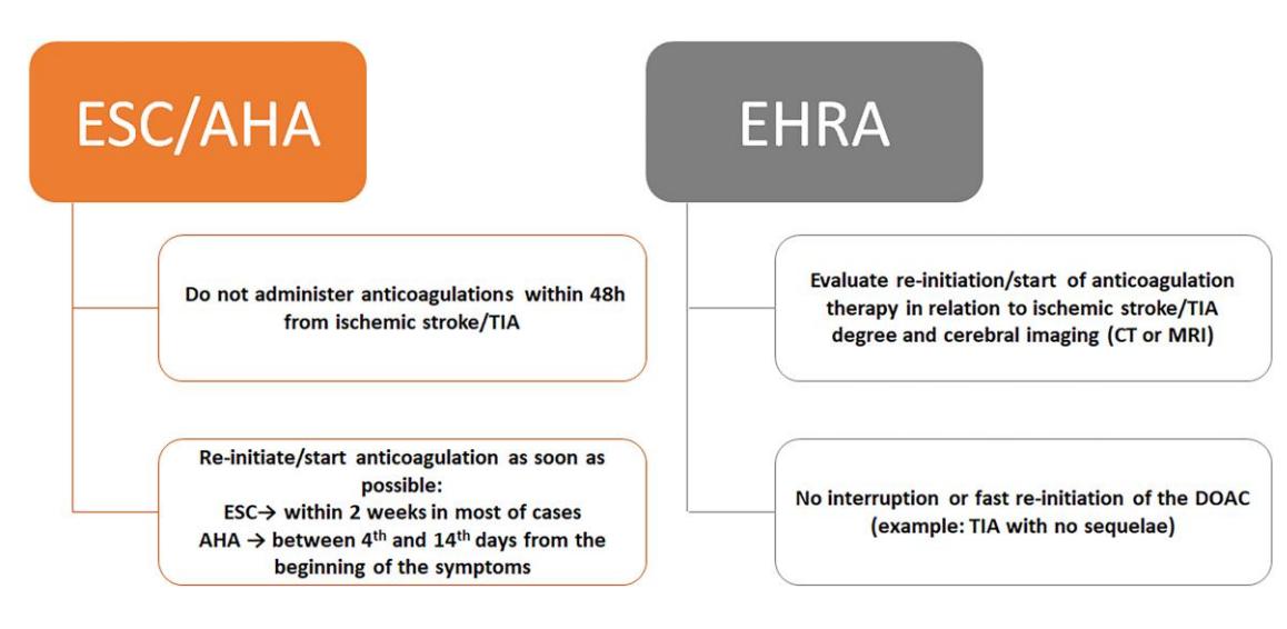 【ESC/AHA and EHRA Guidelines Comparison】Timing of Anticoagulation Initiation Post-Stroke or TIA