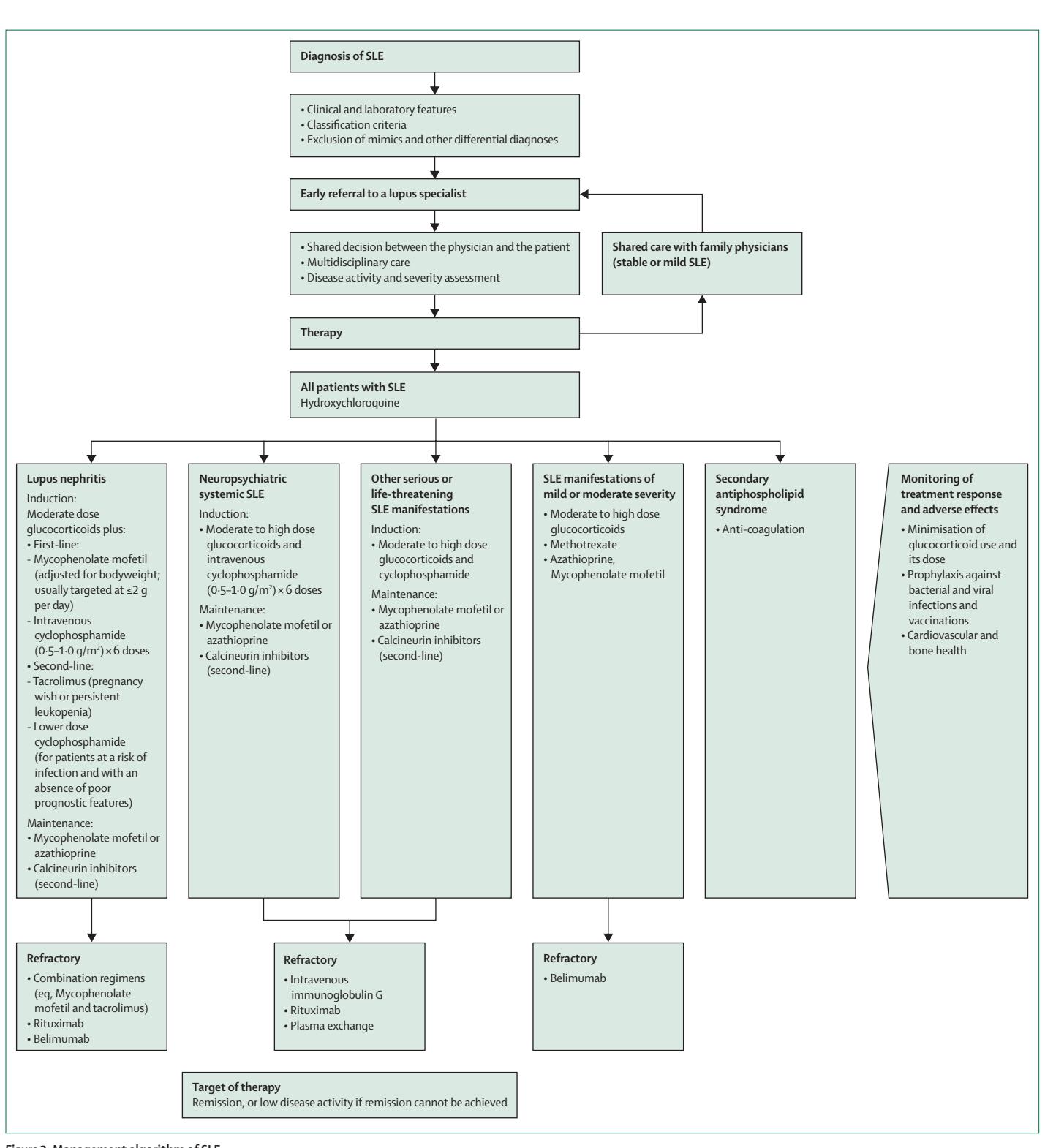 【SLE Management Algorithm】Systemic Lupus Erythematosus Comprehensive Management Algorithm