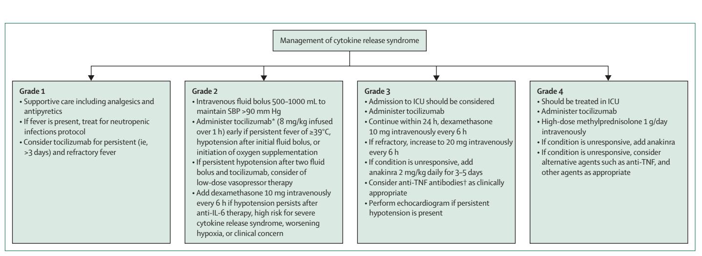 【Prevention and management of adverse events during treatment with bispecific antibodies and CAR T cells in multiple myeloma: a consensus report of the European Myeloma Network】Clinical Management Algorithm