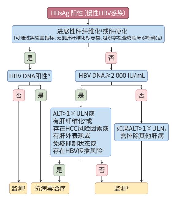 【慢性乙型肝炎诊疗流程图】慢性HBV感染临床管理决策路径