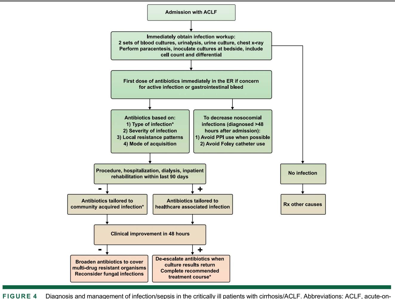 FLOWCHART/Clinical Management Algorithm