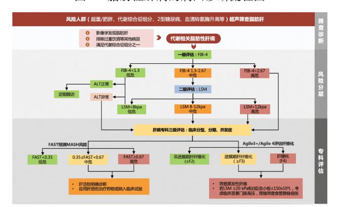 代谢相关脂肪性肝病筛查与评估流程图