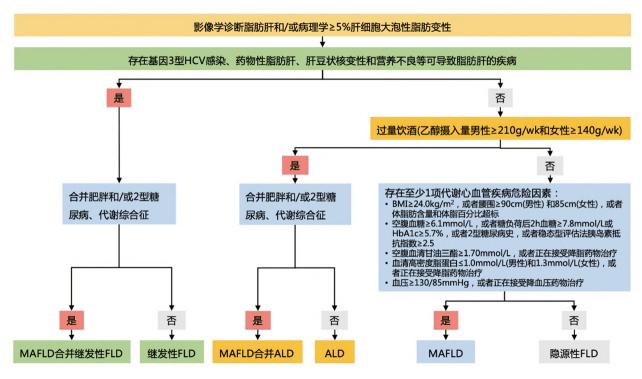 脂肪性肝病诊断与分类流程图