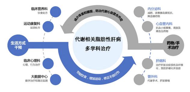 【代谢相关(非酒精性)脂肪性肝病防治指南(2024年版)】多学科诊疗模式图