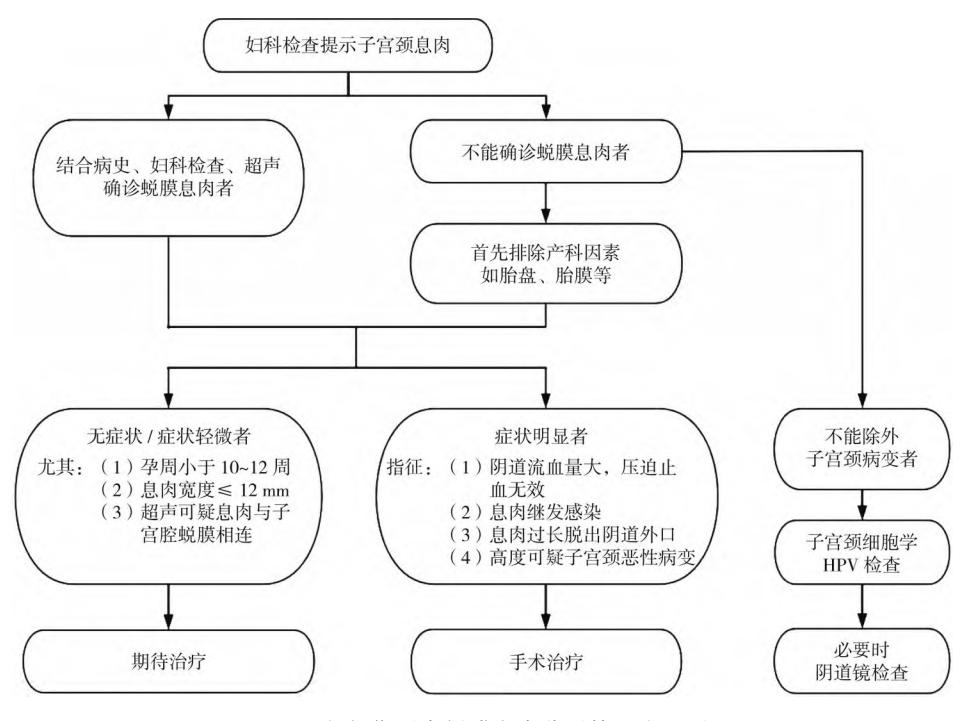 妊娠期子宫颈息肉诊疗流程图