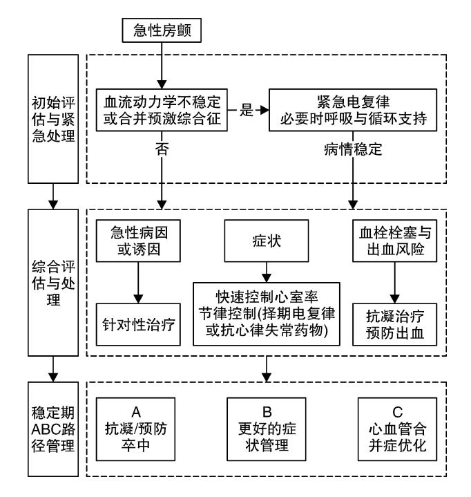 急性房颤管理路径