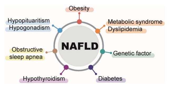 【NAFLD Comorbidity Diagram】NAFLD相关合并症概念图