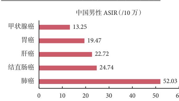 【《癌症统计数据2025》解读:中美癌症流行病学特征及长期趋势对比研究】条形图